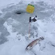 Ice fishing